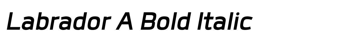 Labrador A Bold Italic